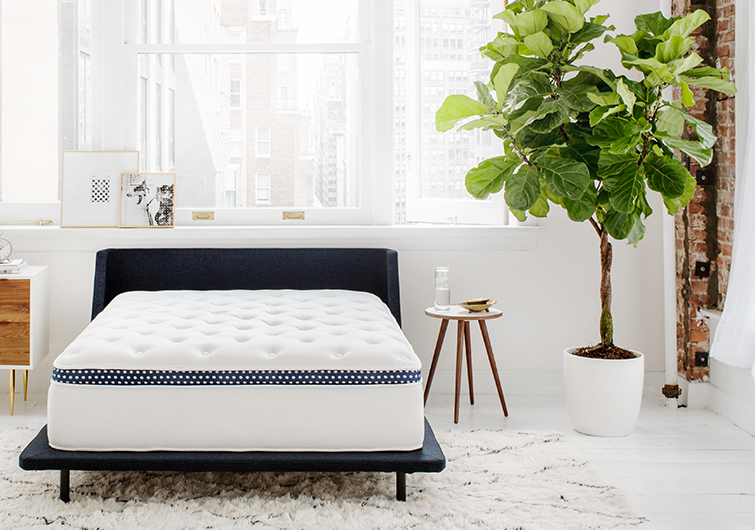Winkbeds mattress for couples